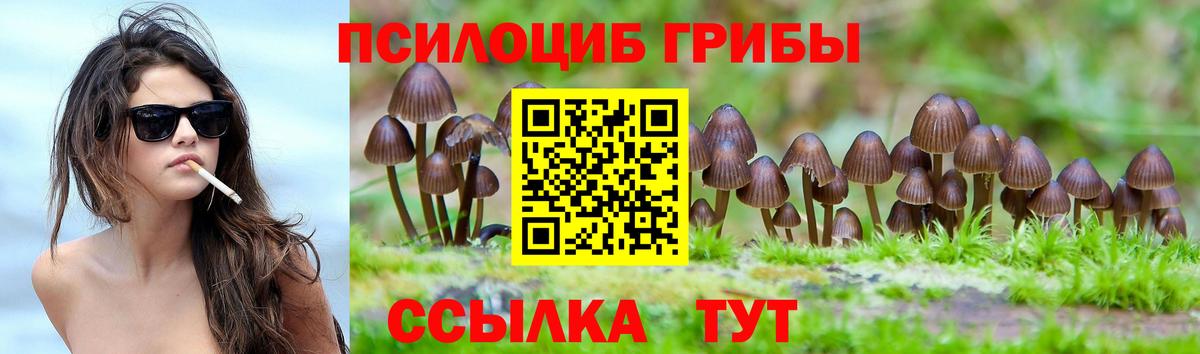 Наро-Фоминск  Псилоцибиновые грибы ЛСД  Вход с VPN  Псилоцибиновые грибы Psilocybe 